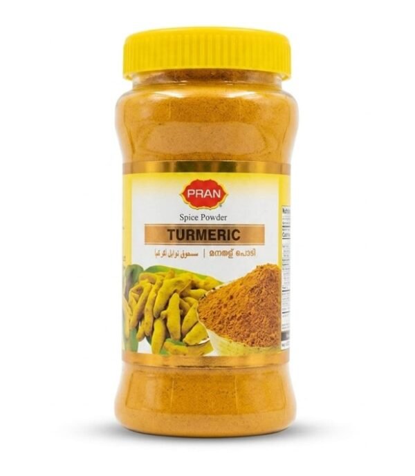 PRAN Spice Powder Turmeric