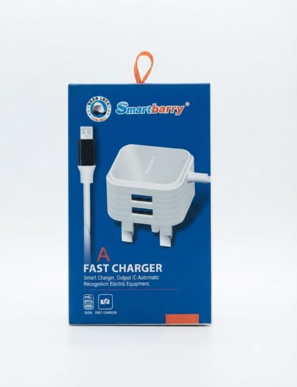 Smartbarry Fast Charger