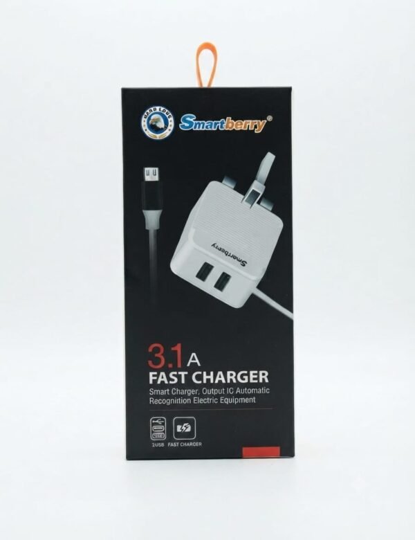 Smartberry 3.1A Fast Charger